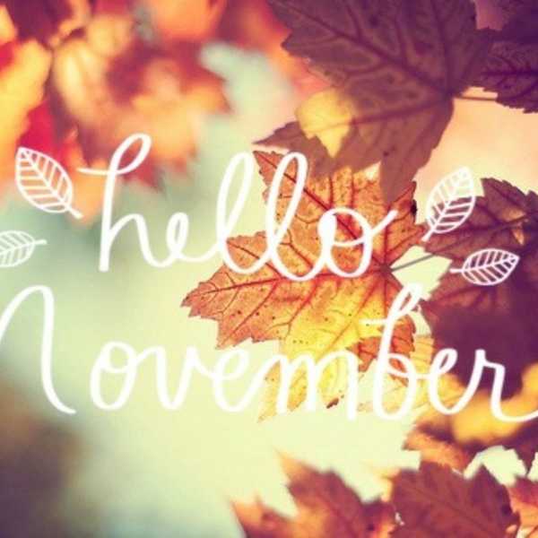 15 Holidays in November You've Probably Never Heard Of