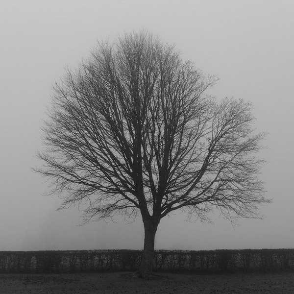 The Day After The Election