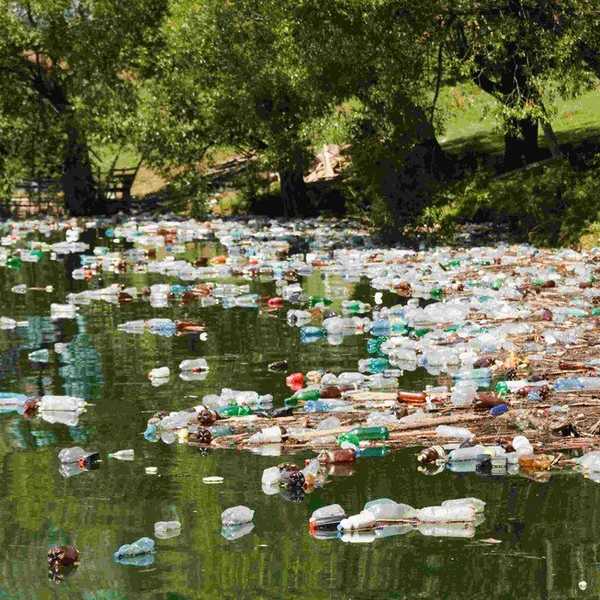 Environmental Trivia