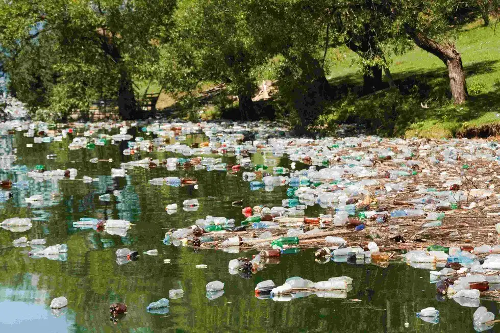 Environmental Trivia