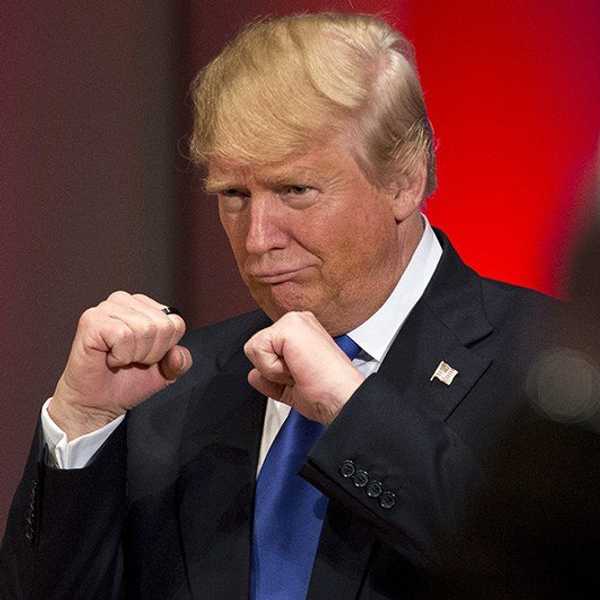 Dear Donald Trump