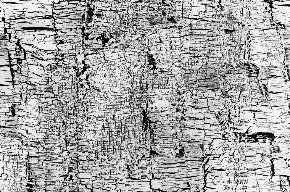 The Hilarious Misfortunes of Zachary Tyson