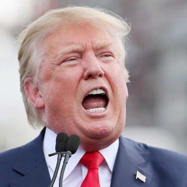 An Open Letter To Donald Trump