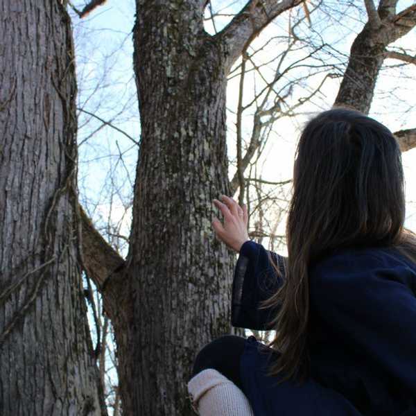 Persevere Through Your Obstacles