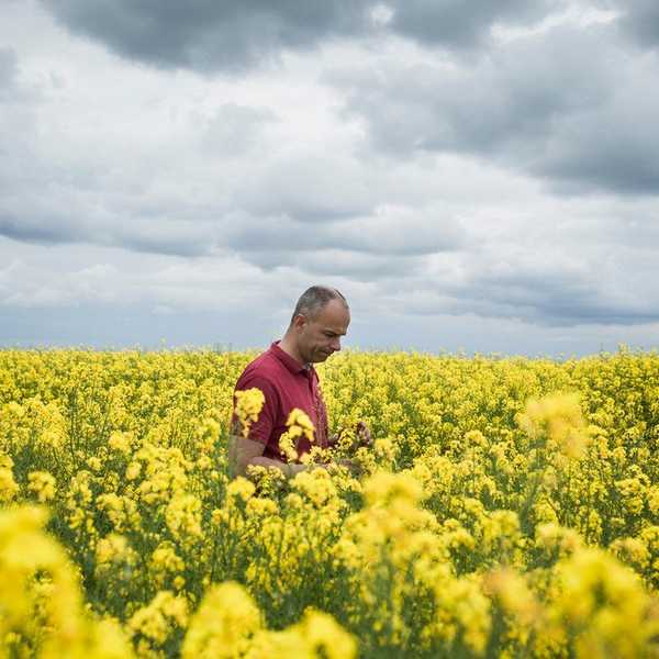 New York Times Article Misses The Point Of GMOs