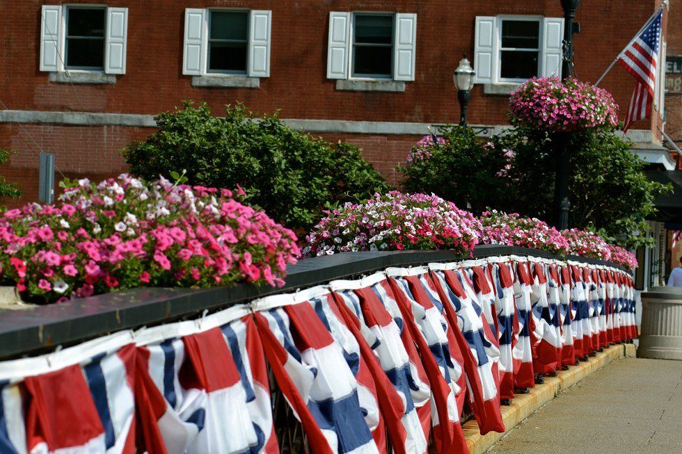 Break My Country, Mr. Trump