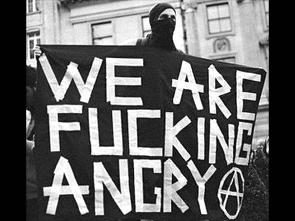 Anarchism And Animal Nature