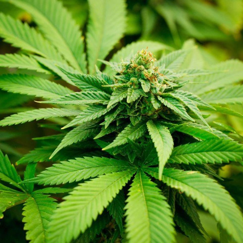 Shocker the World Didn't End