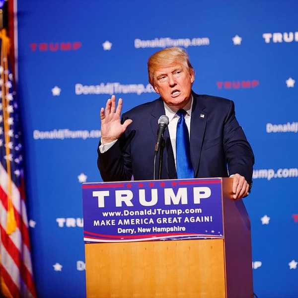 Trump Won, Now What?