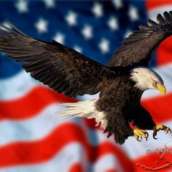 My Prayer For The United States