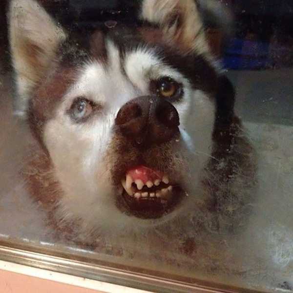 5 Photos To Make You Smile This Week