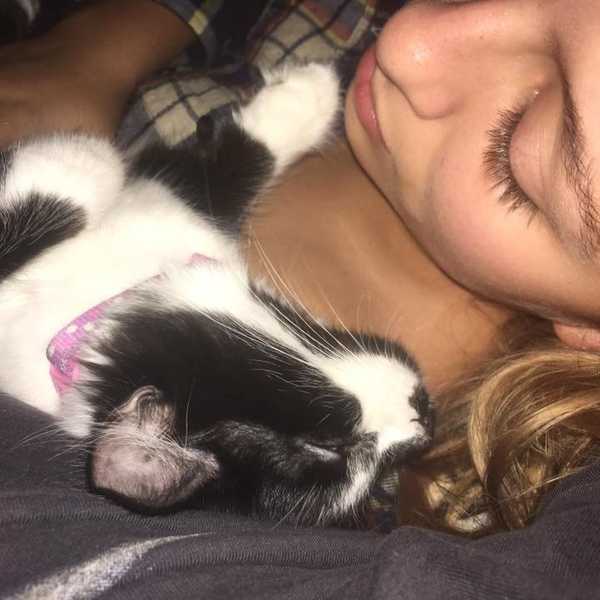 10 Signs You're a Concerned Cat Mom
