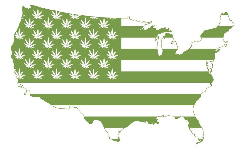 Marijuana: The Real Winner Of The 2016 Election