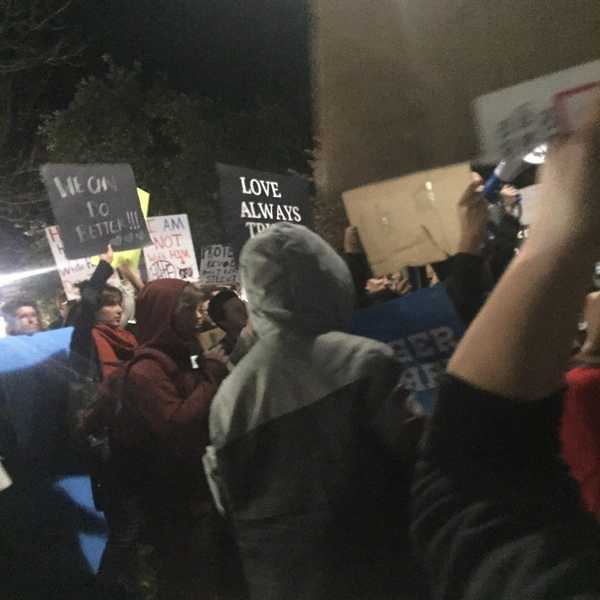 I Went To A Protest and This Is What I Saw