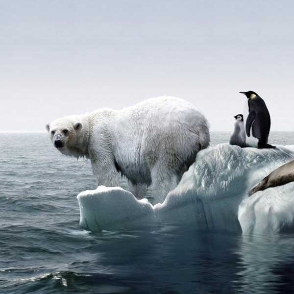 Global Warming: It's Real And We Still Have Time To Fix It