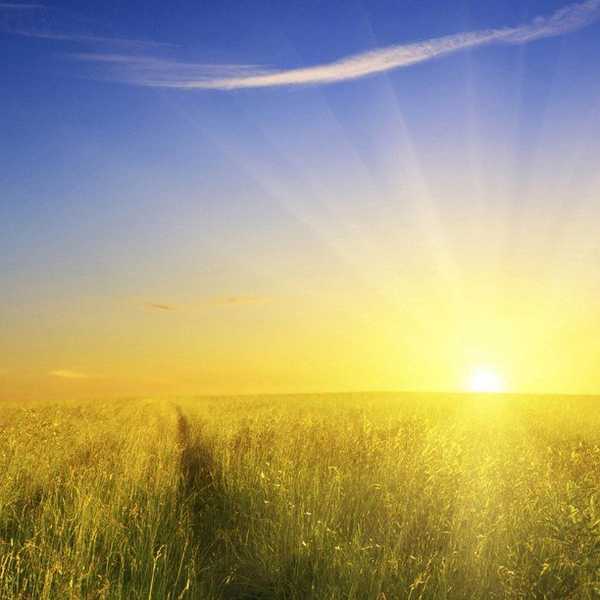 5 Things To Remeber When You're Having A Bad Day