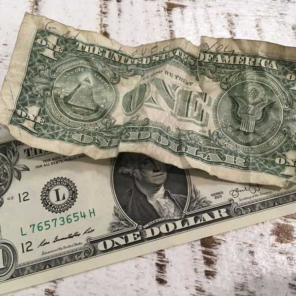 The Life of a Dollar Bill