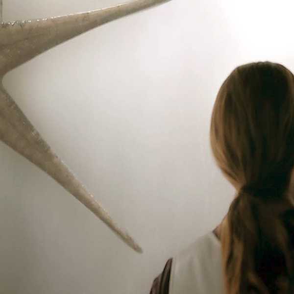 Arrival: A Testament Against Xenophobia