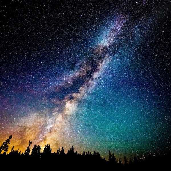 Silver Linings: Some Positive Things That Happened in 2016