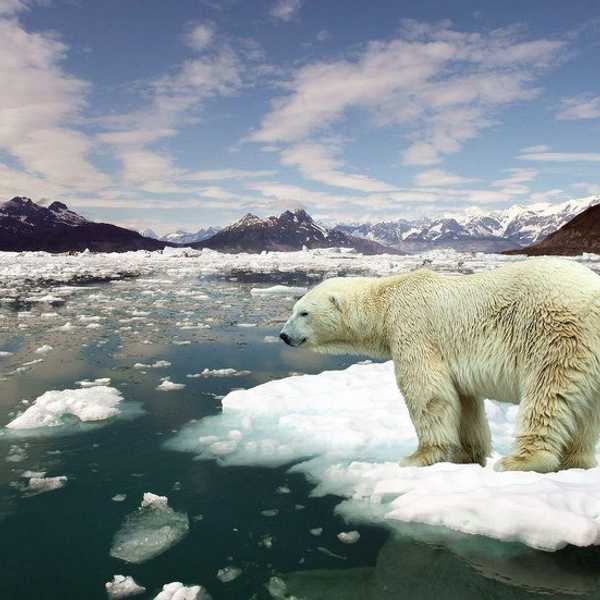 Trump and the Environment