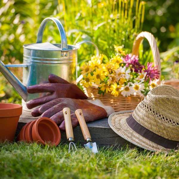 Truths every Gardener Knows