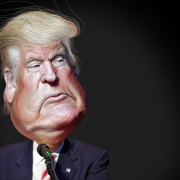 The Internet Responds to the 2016 Election