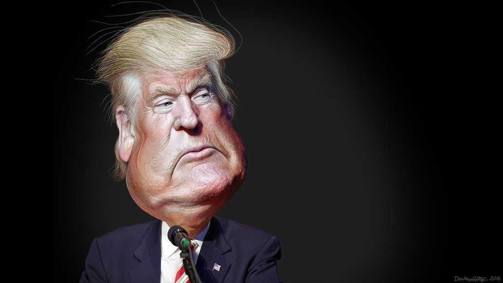 The Internet Responds to the 2016 Election
