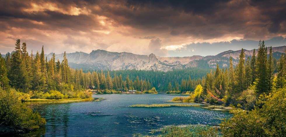 15 Ways To Be More Sustainable