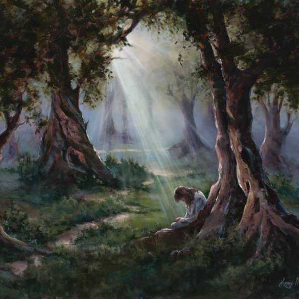 The Garden Of Gethsemane