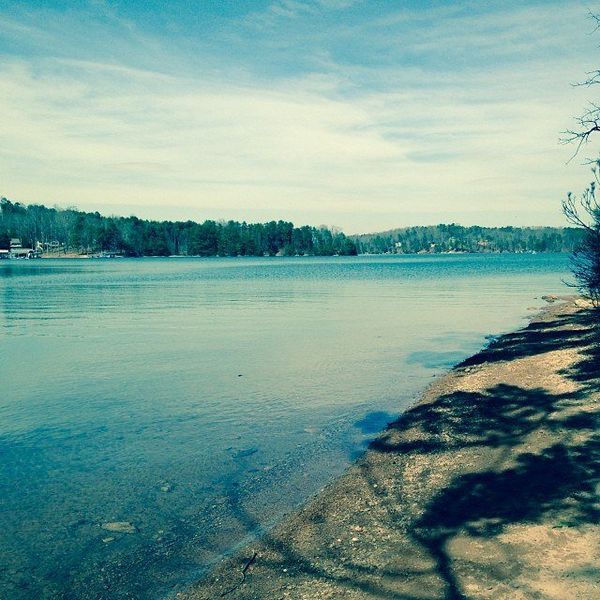 Why Can't We All Just Get Along?