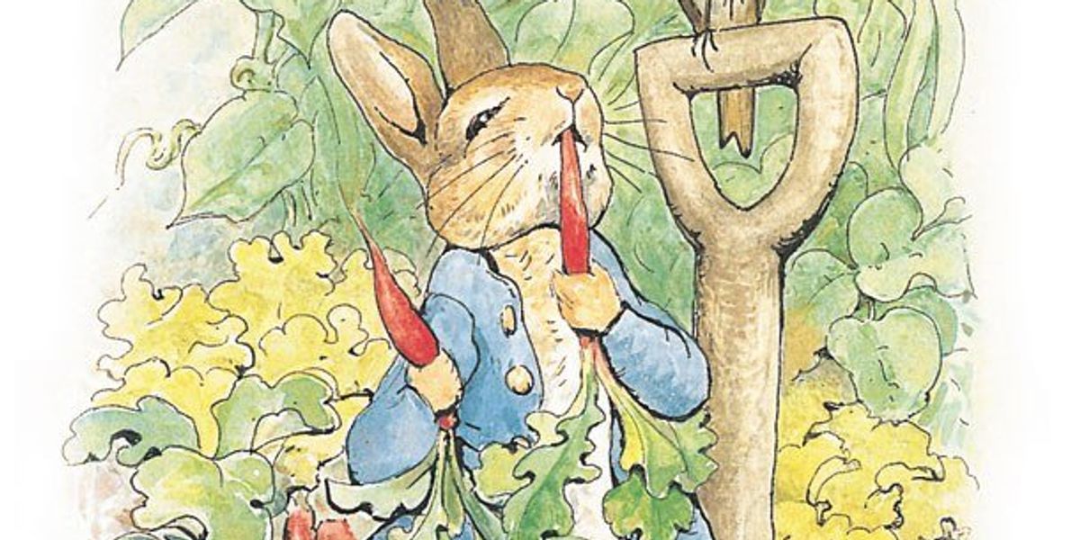 Leopard Peter Rabbit Peter Rabbit Is My Spirit Animal | The Odyssey Online