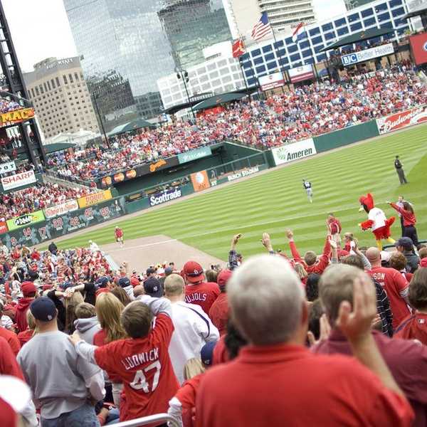 From The Cardinals Fan Who Doesn't Know Anything "Because She's A Girl"