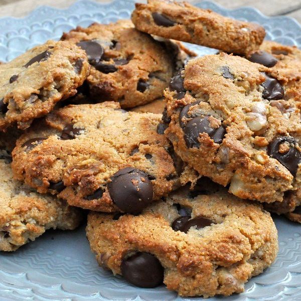 The Paleo Experiment