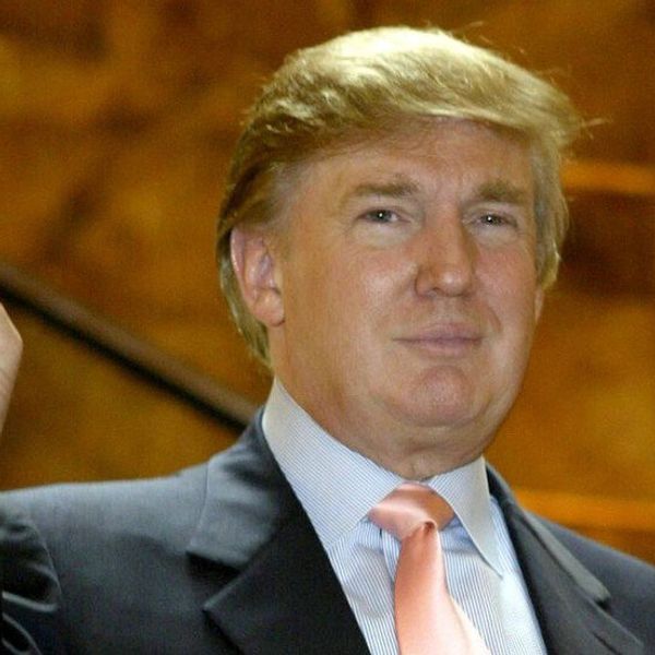 Are You My President?