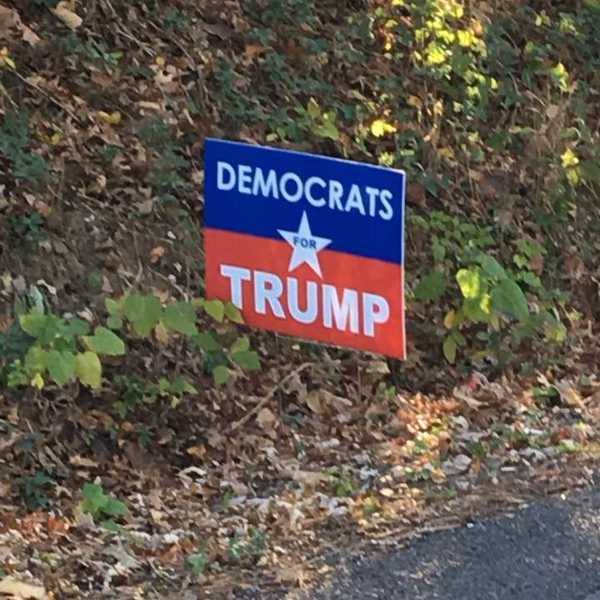A Few Words I'd Like To Say To Donald Trump's Stupid, Orange Face