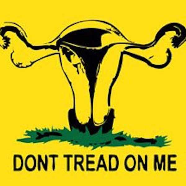 Despite Your Vote, Abortions Will Never Be Eradicated