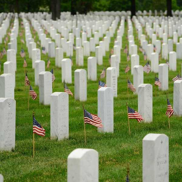I Am Heartbroken By Our Country's Response To This Election