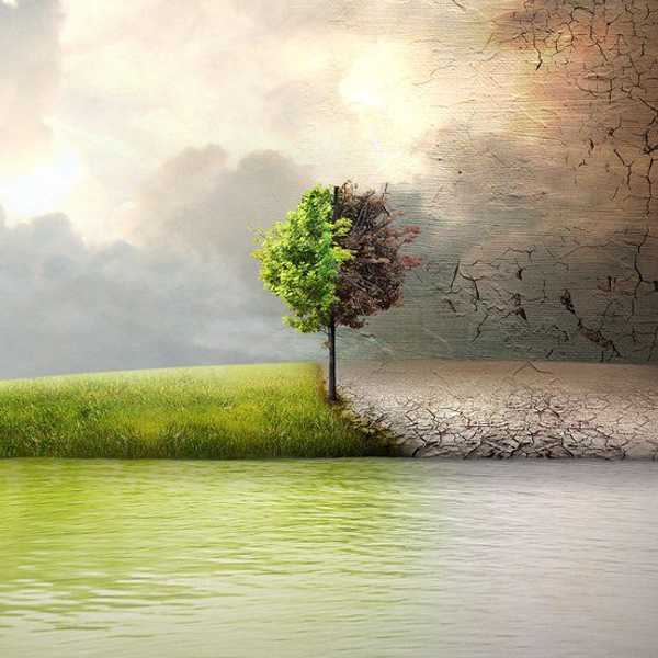 The Downfall Of Humanity? Climate Change.
