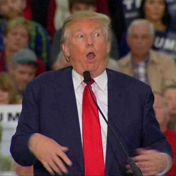 I Never Considered Trump Might Actually Win