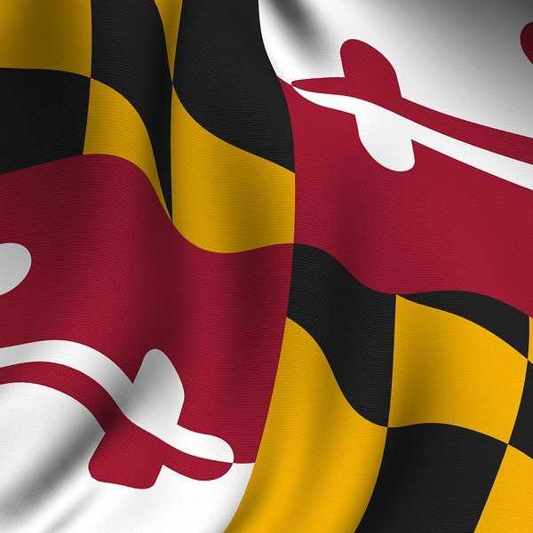 9 Fun Things To Do In Pasadena, Maryland