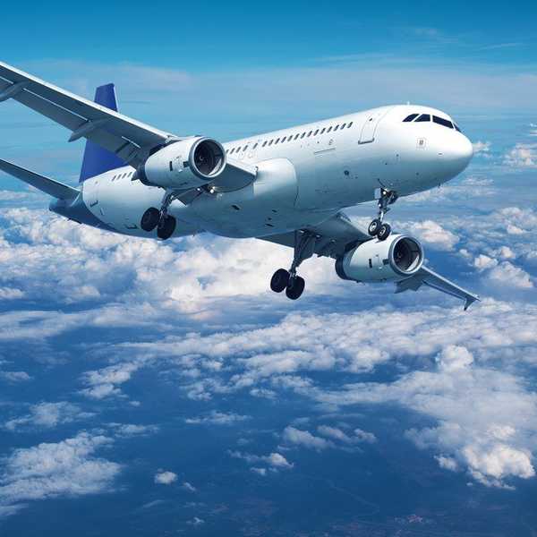 Humans On A Plane