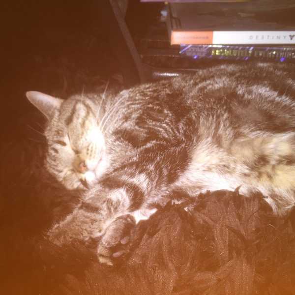 Advantages of Being Taken Advantage Of