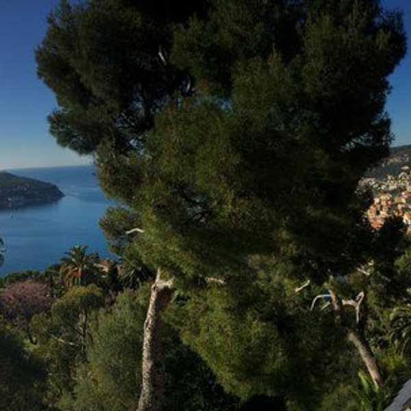 4 Good Reasons To Travel The World