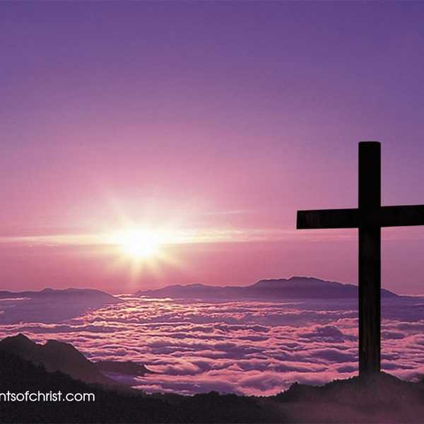 Bible Verses You Need To Hear