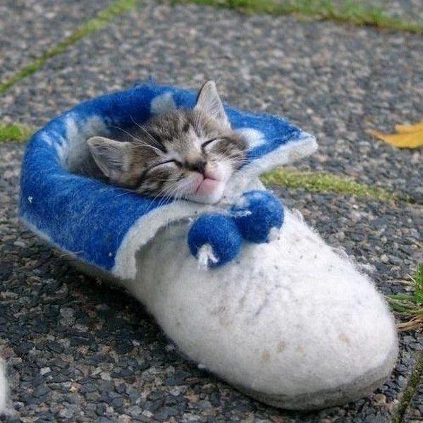 12 Problems with Feeling Perpetually Tired