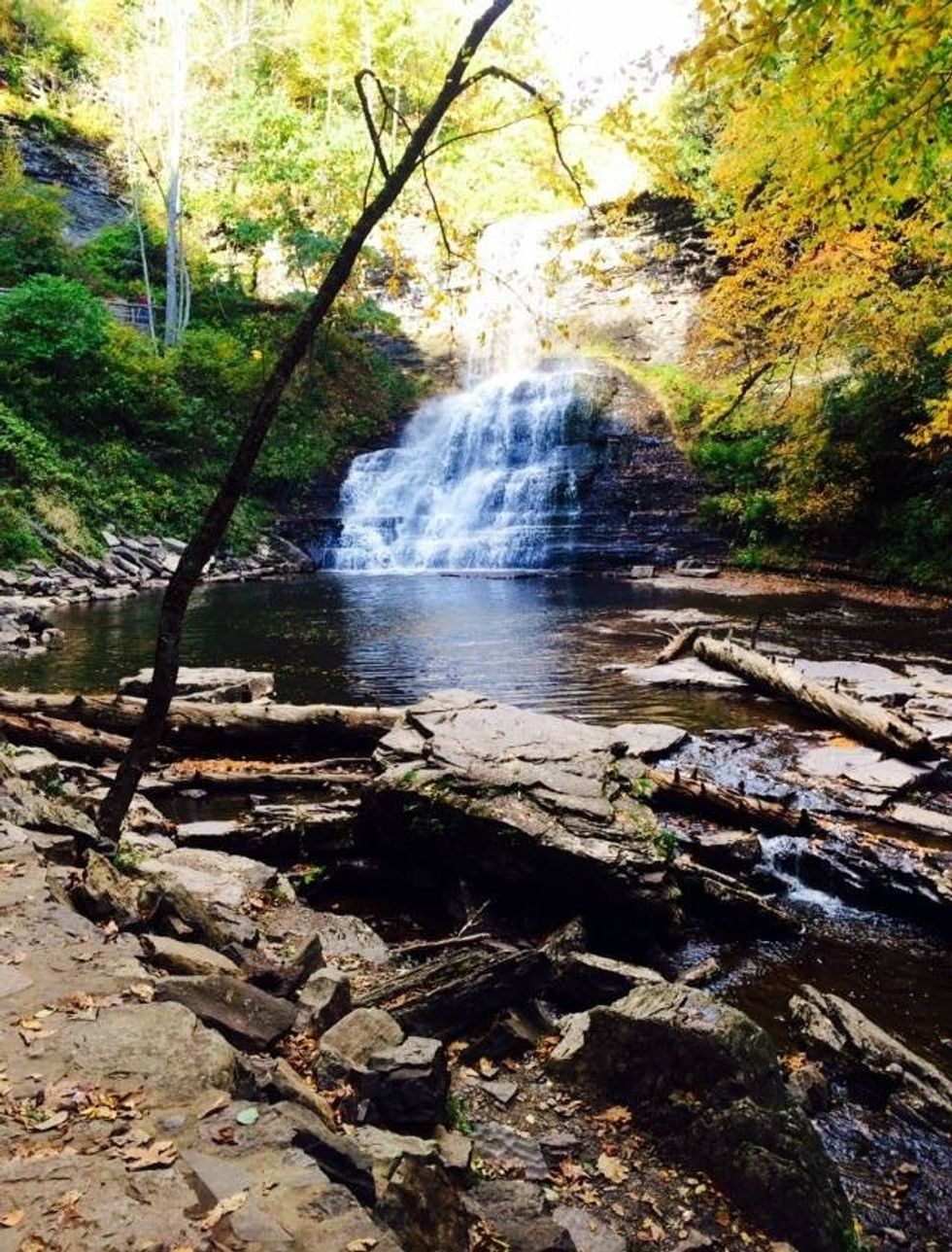 An Open Letter To Disappointment