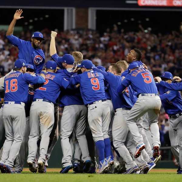 The Chicago Cubs Gave All The Feels This Season