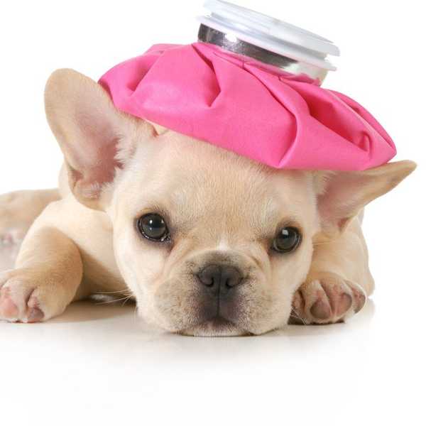 The 7 Stages of Getting Sick in College