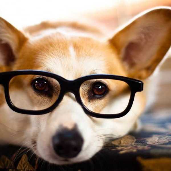 15 Problems People Who Wear Glasses Understand