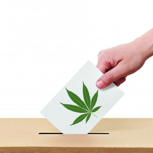 What Will Really Happen If Marijuana Becomes Legal In Massachusetts?